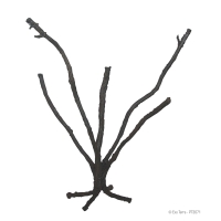 Exo Terra Jungle Tree | Biegsamer Terrarienbaum zur Terrariendekoration - Modell: Gross - ca 45cm hoch