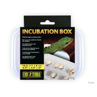 Exo Terra Inkubationsbox für Reptilieneier