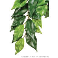 Fikus - Hängende Regenwaldpflanzen - 60cm Länge