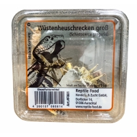 Wüstenheuschrecken Gross 9-10 Stück in der Dose - Reptilienfutter / Futterinsekt