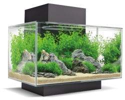 Fluval Edge 2.0 - Aquarium Set mit LED- Beleuchtungssystem
