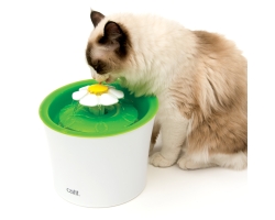 Blumentrinkbrunnen 3L Kompakte und einfache Trinklösung für Katzen und kleine Hunde