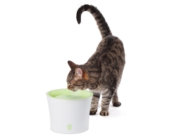 Catit Drinking Fountain 3L Volumen für Katzen & Hunde