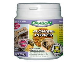 Flower Power Food - Naturbelassene Blütenpollen