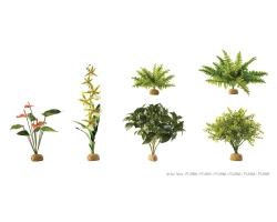 Exo Terra Rainforest Ground Plants - Regenwaldpflanzen selbst stehend
