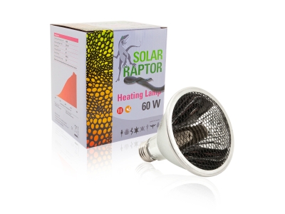 SolarRaptor HeatingLamp 60 Watt | Effiziente Terrarienheizung