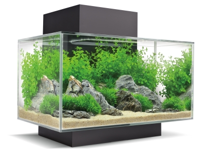 Fluval Edge 2.0 - Aquarium Set mit LED- Beleuchtungssystem