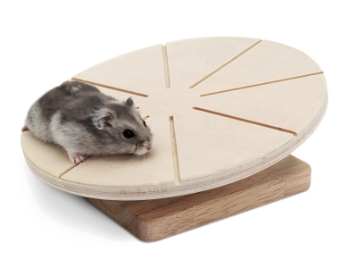 Laufteller: Ø 20 cm für Hamster, Mäuse und Rennmäuse