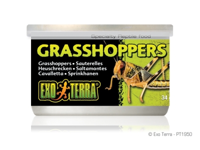 Exo Terra Heuschrecken(Grasshoppers )