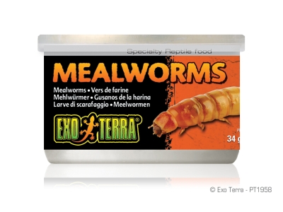 Exo Terra Mealworms (Mehlwürmer)
