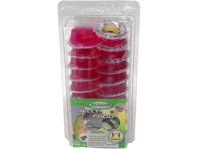 Dragon Jelly Food Fruchtnektar - Sorte: VIOLET GRAPE - Menge: 20 Stück