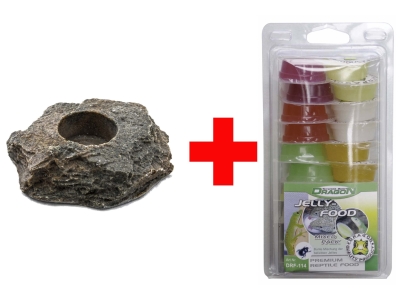 Dragon Jellyfood Mix 20er + Jellyfood Rock - Modell: Jelly Food MIX + Rock Lava