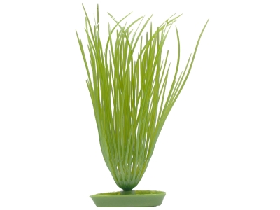 Marina Aquascaper Hairgrass 13 cm