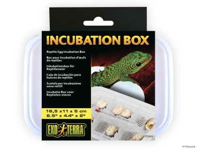 Exo Terra Inkubationsbox für Reptilieneier