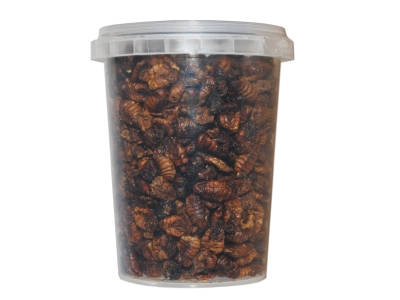 500 ml Seidenraupenpuppen / Silkworm gefriergetrocknet gefriergetrocknete / getrocknet