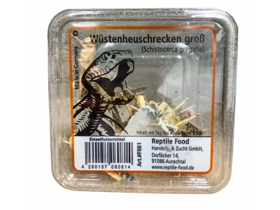 Wüstenheuschrecken Gross 9-10 Stück in der Dose - Reptilienfutter / Futterinsekt