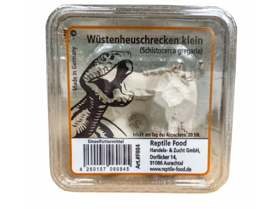 Wüstenheuschrecken Klein 20 Stück in der Dose - Reptilienfutter / Futterinsekt