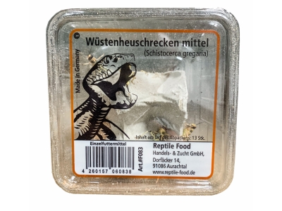 Wüstenheuschrecken Mittel 13-14 Stück in der Dose - Reptilienfutter / Futterinsekt