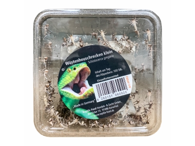 Wüstenheuschrecken Klein 100 Stück - Reptilienfutter / Futterinsekt