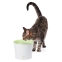Catit Drinking Fountain 3L Volumen für Katzen & Hunde