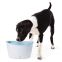 Trinkbrunnen Fresh & Clear für Hunde und Katzen 6L Volumen