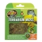 Natürliches Terrarium Moss